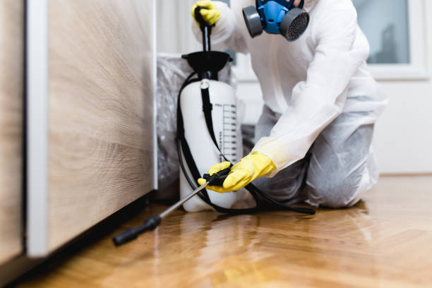 Reliable Mayville, ND Pest Control Solutions