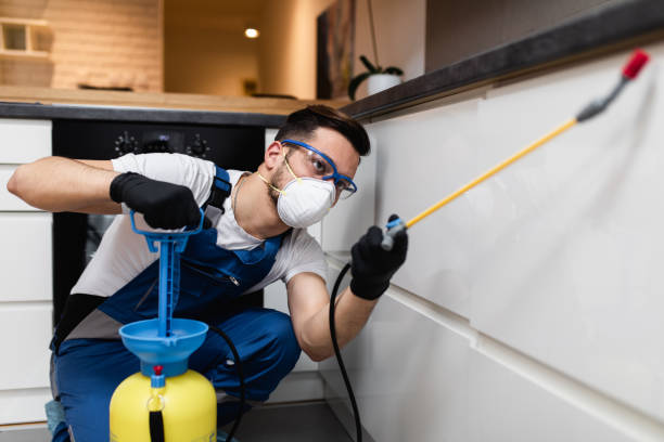 Best Pest Inspection Near Me  in Mayville, ND
