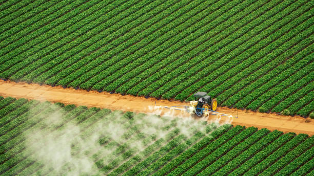 Best Commercial Pest Control Services  in Mayville, ND