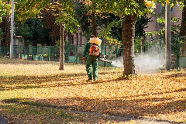Best Insect Control  in Mayville, ND