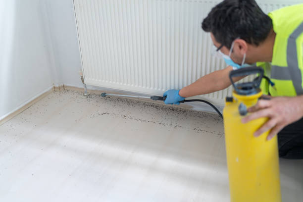 Best Ant Control Services  in Mayville, ND